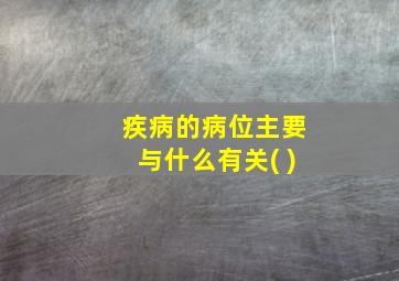 疾病的病位主要与什么有关( )